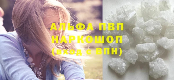 PSILOCYBIN Богданович
