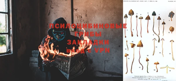 PSILOCYBIN Богданович