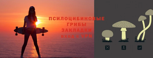 синтетический гашиш Богородицк