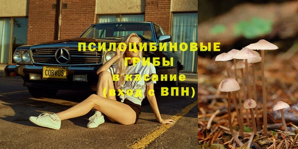 синтетический гашиш Богородицк