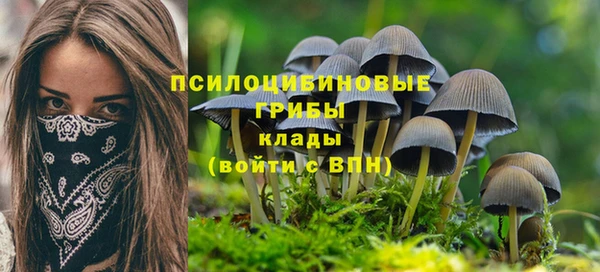 синтетический гашиш Богородицк