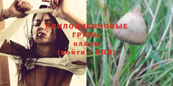 PSILOCYBIN Богданович