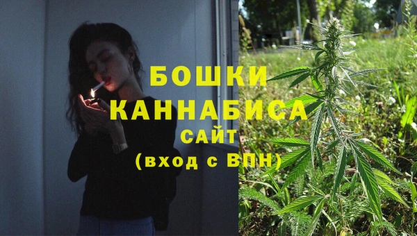 PSILOCYBIN Богданович