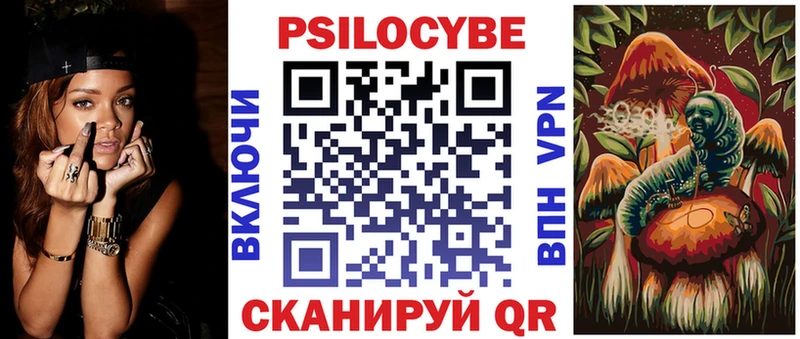 Купить где  Петровск  Галлюциногенные грибы мицелий 